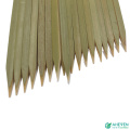 Super Quality of BBQ Bamboo Skewers BBQ Flat Food Picks With Green Skin